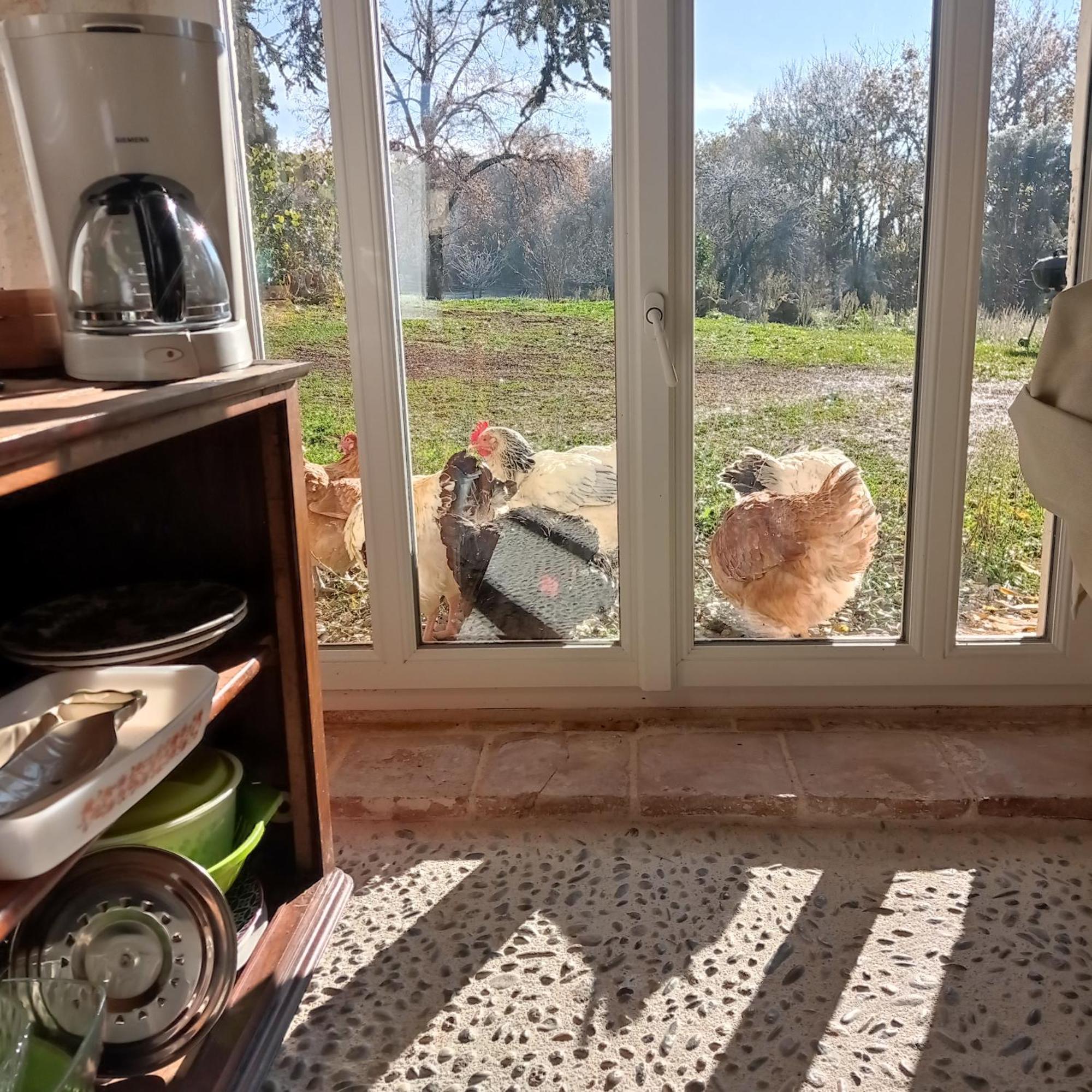 Domaine De La Borde Villa Puy-lʼÉvêque Bagian luar foto