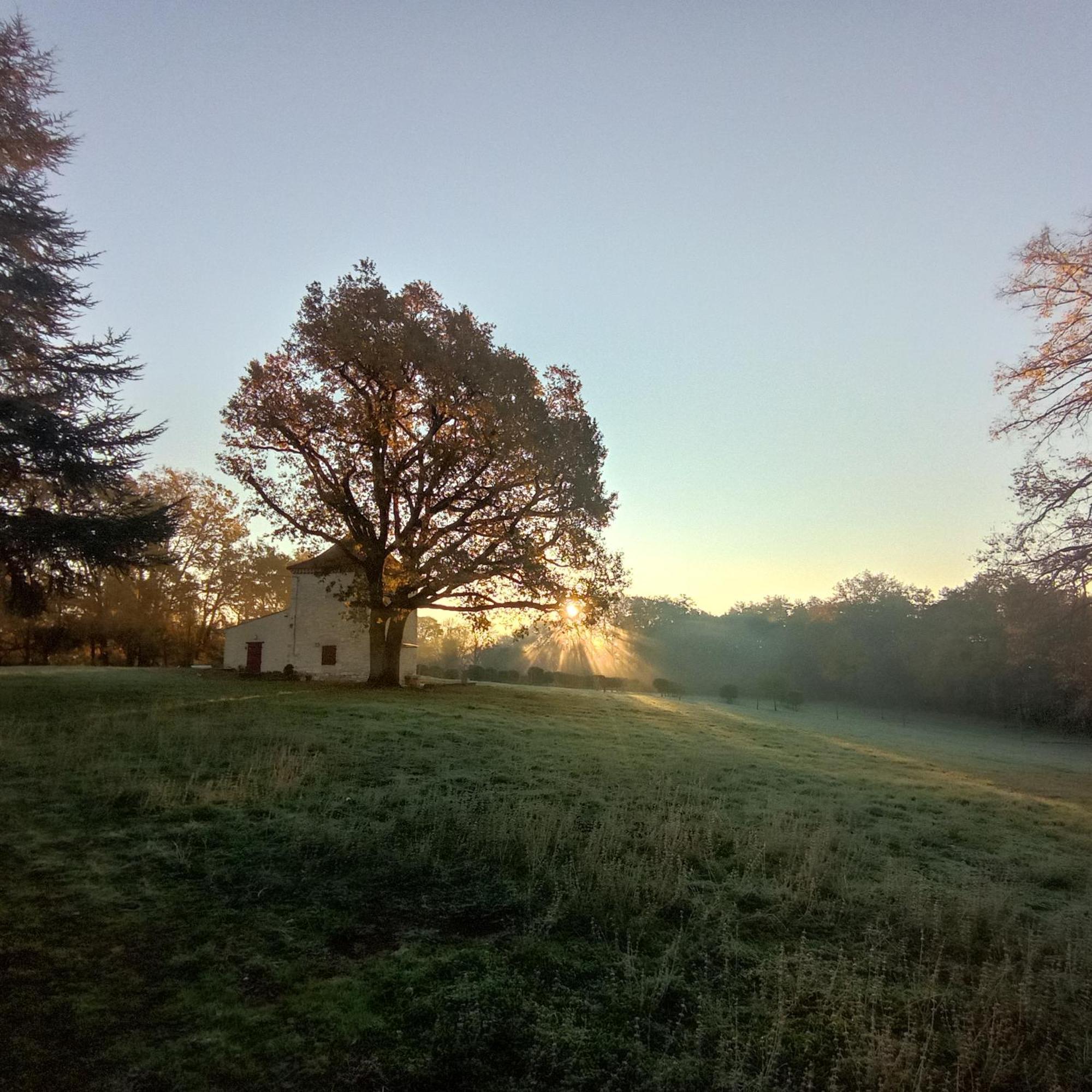 Domaine De La Borde Villa Puy-lʼÉvêque Bagian luar foto